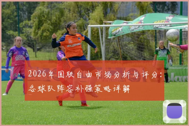 2026年国联自由市场分析与评分：各球队阵容补强策略详解