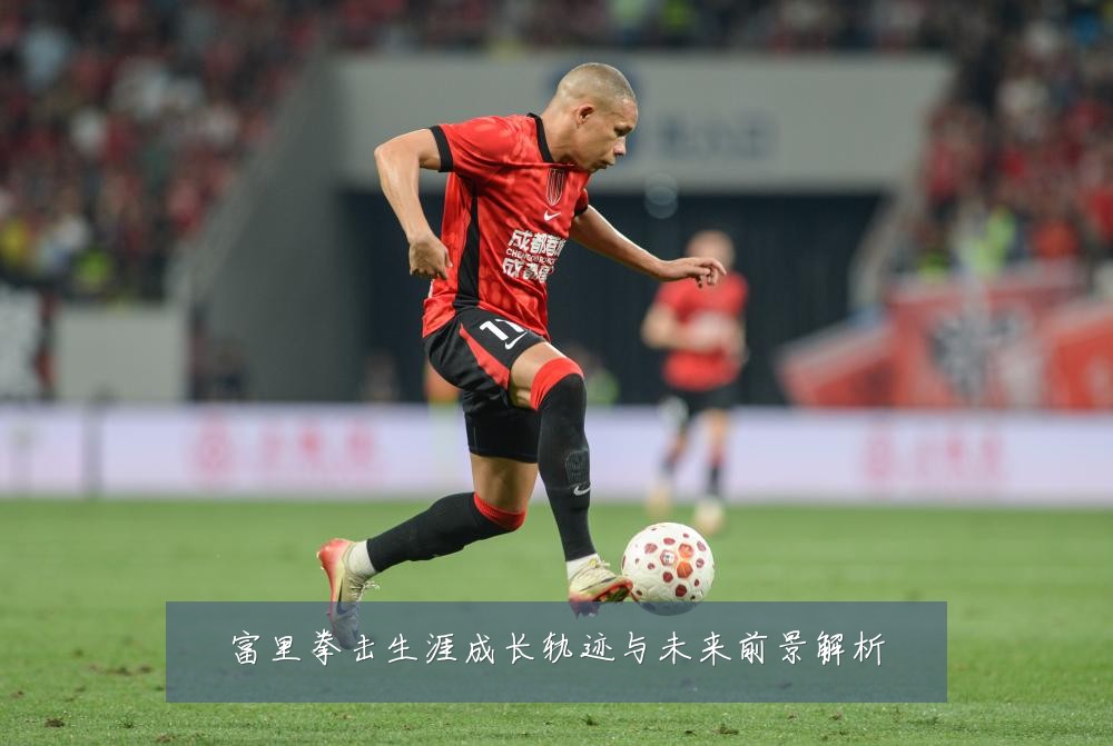富里拳击生涯成长轨迹与未来前景解析