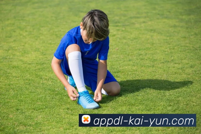 开云平台展示图