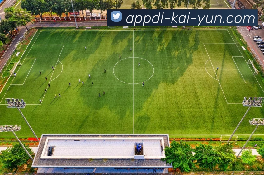 开云体育世界杯投注平台分析与最新赔率动态全解析