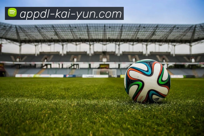 开云官网全站App